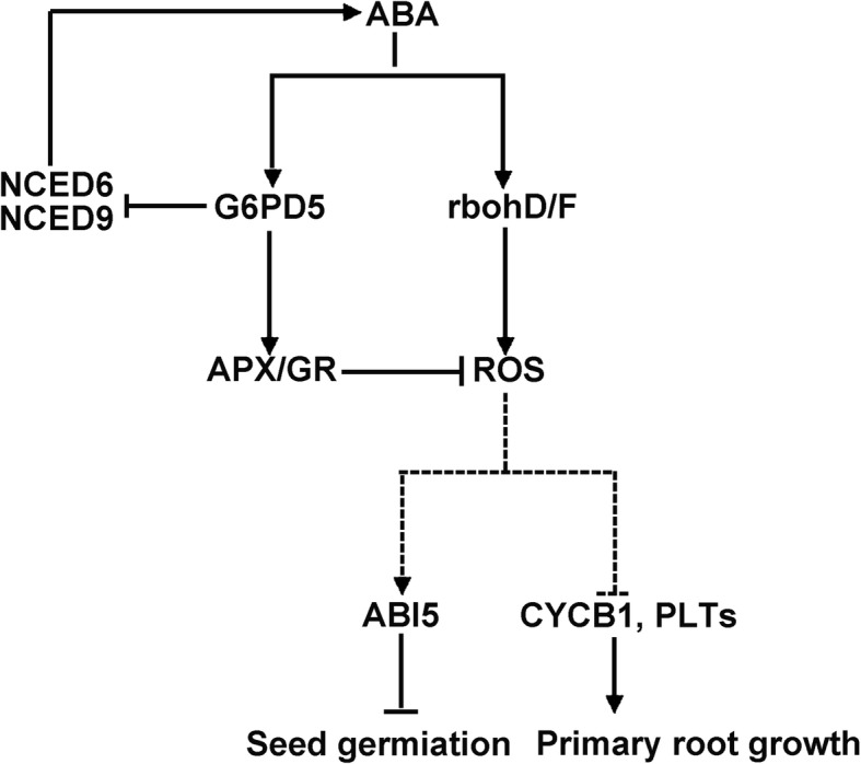 Fig. 10