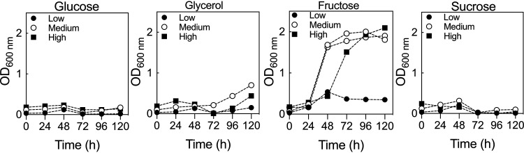 FIG 1