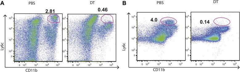 Figure 1—figure supplement 1.