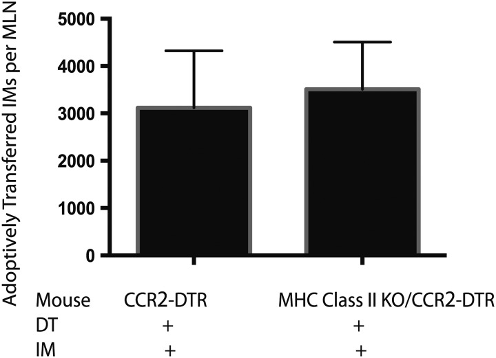 Figure 4—figure supplement 1.