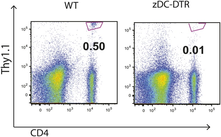 Figure 4—figure supplement 2.