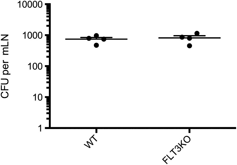 Figure 4—figure supplement 3.