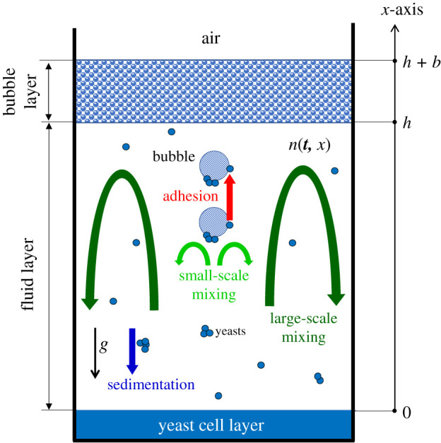 Figure 6.