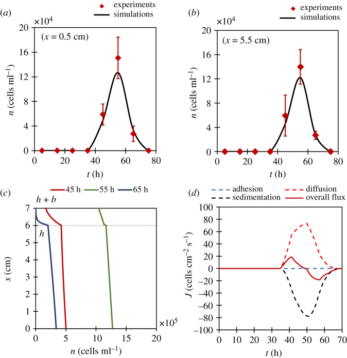 Figure 7.