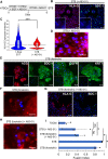 Figure 6