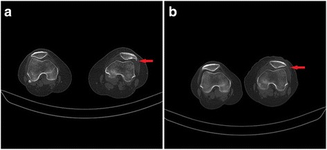 Fig. 5