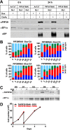 FIG 6