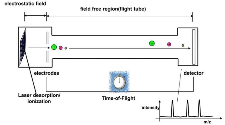 Fig. (2)