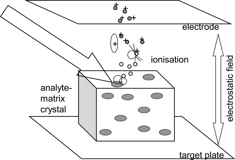 Fig. (1)