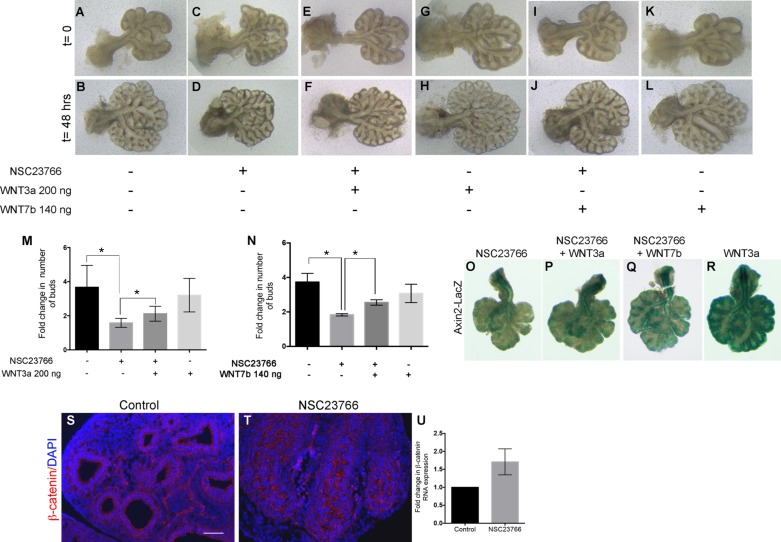 Fig. 9.