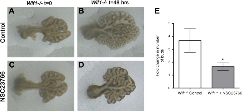 Fig. 8.