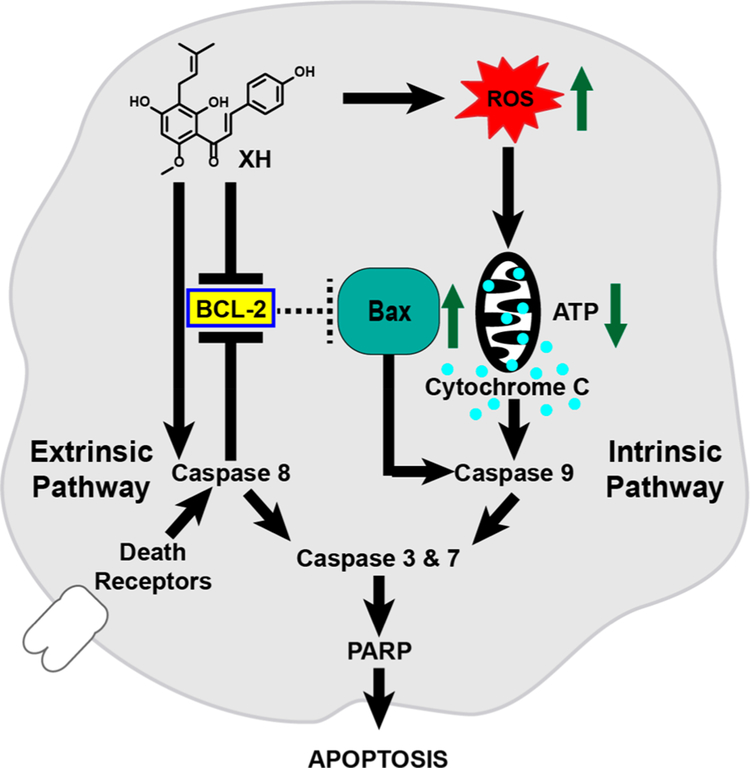 Figure 10.