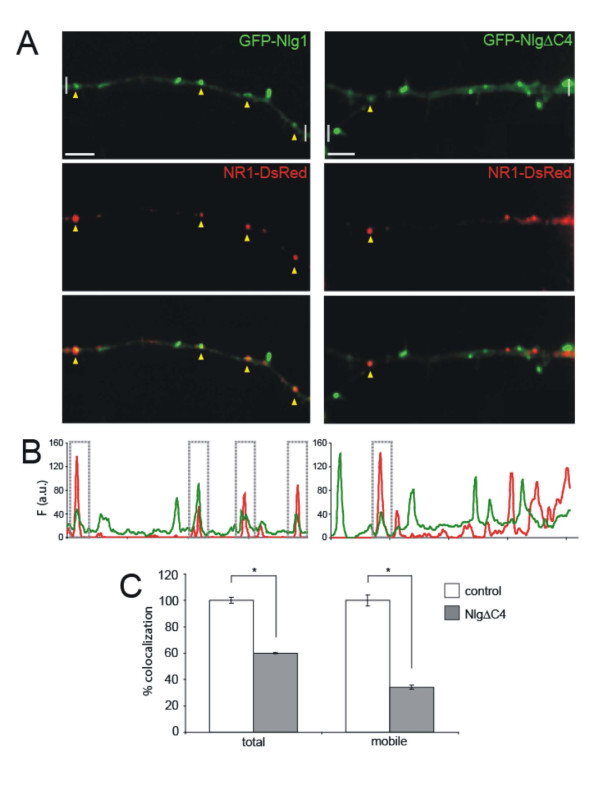 Figure 11