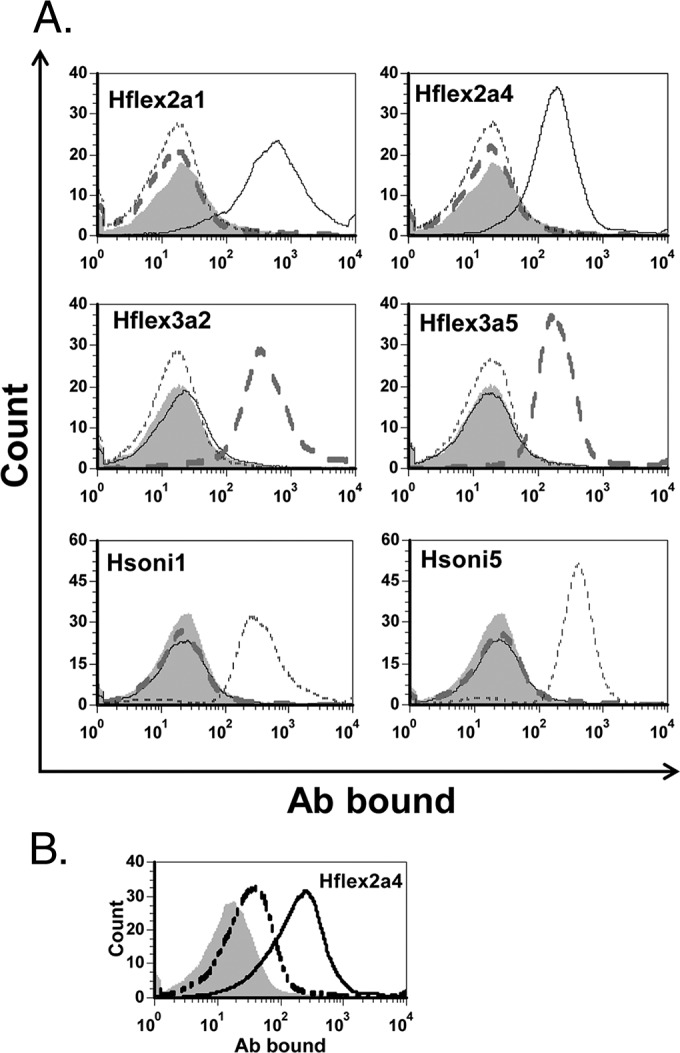 FIG 2