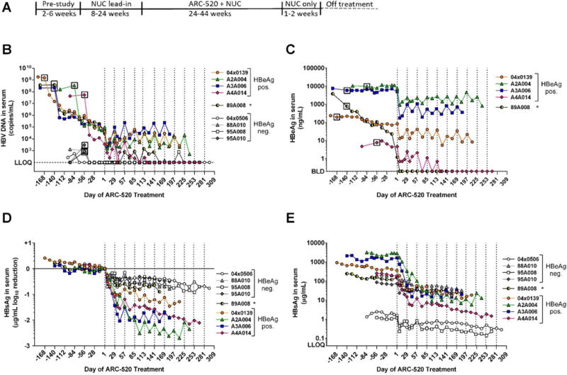 RNAi-Based Treatment of Chronically Infected Patients and Chimpanzees ...