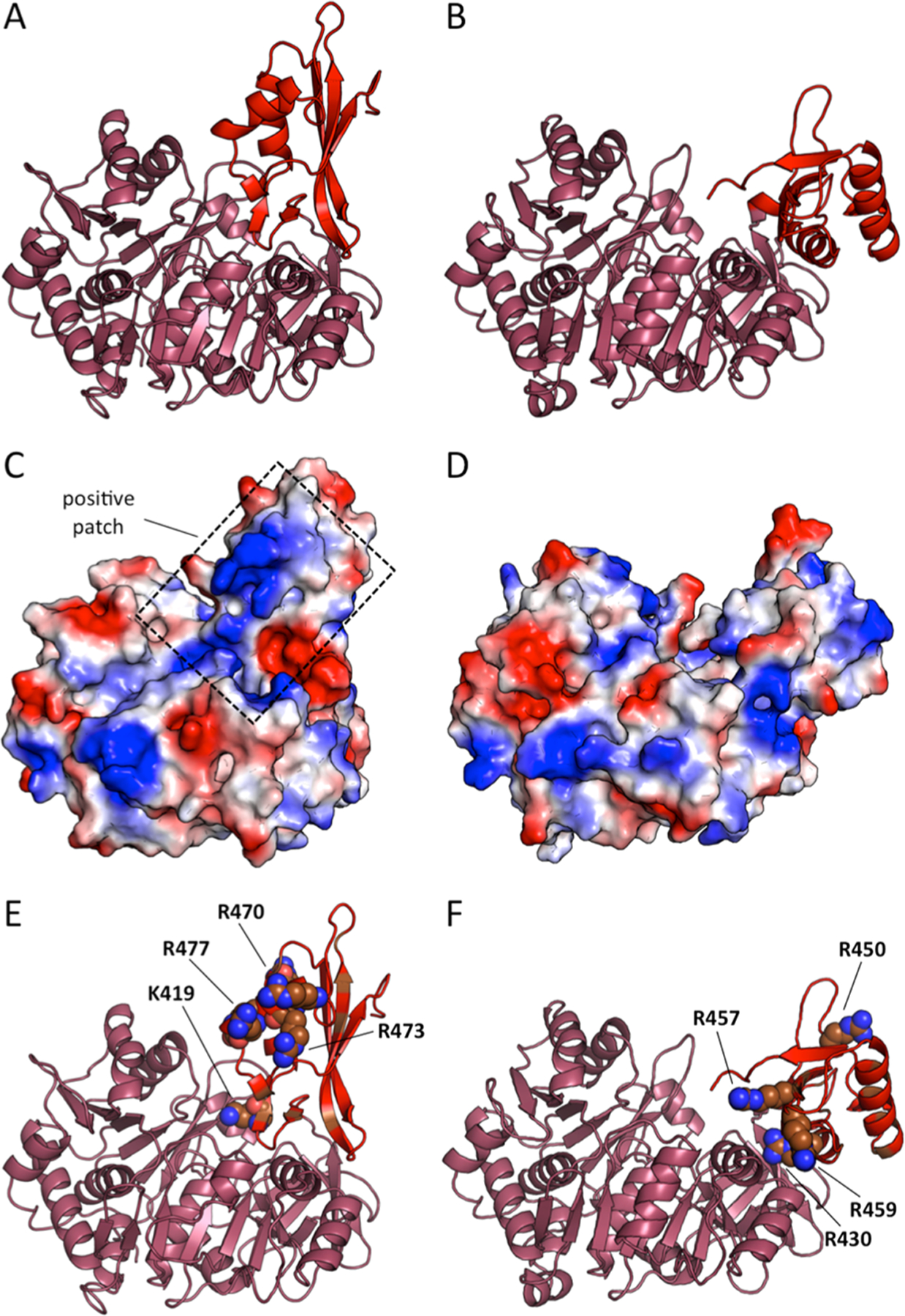 Figure 5.