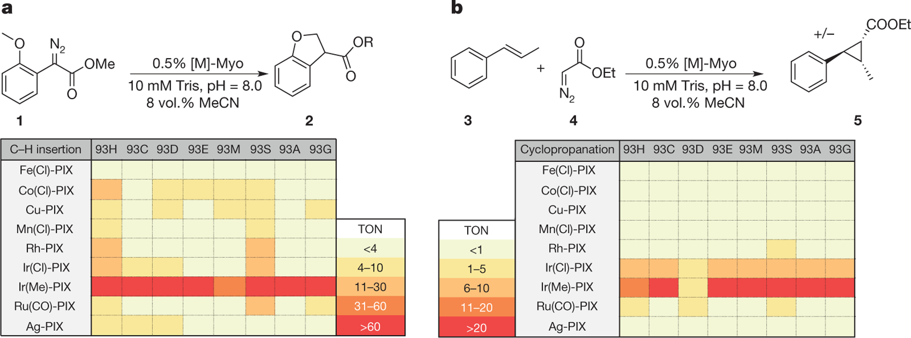 Figure 2 |