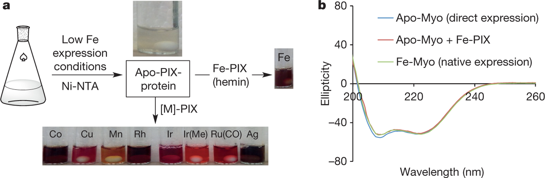 Figure 1 |