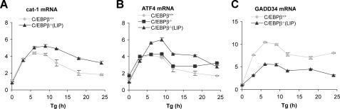 FIGURE 9.