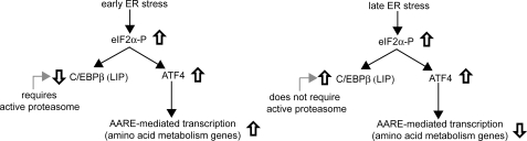 FIGURE 10.