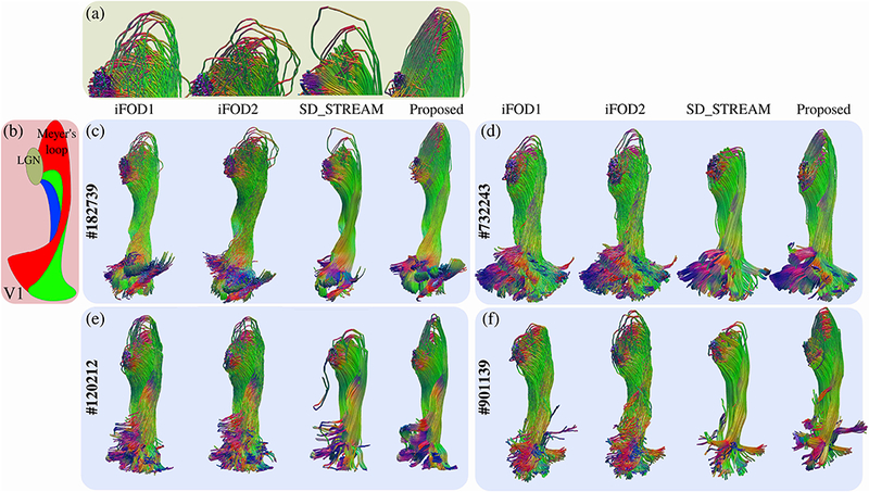 Figure 13: