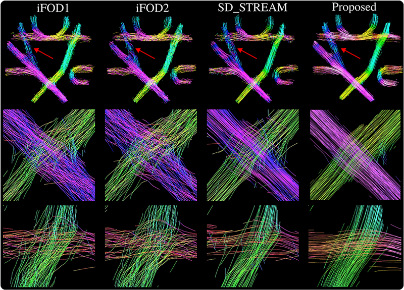 Figure 10: