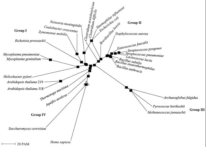 FIG. 3