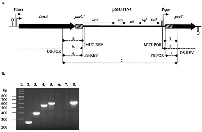 FIG. 1