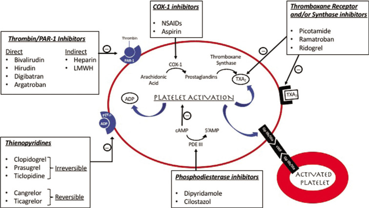 Figure 1: