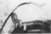245
