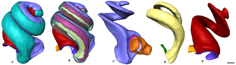 Fig. 6