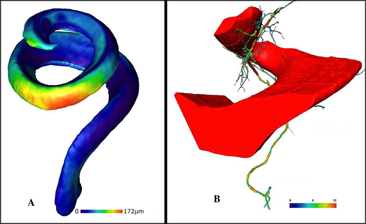 Fig. 8