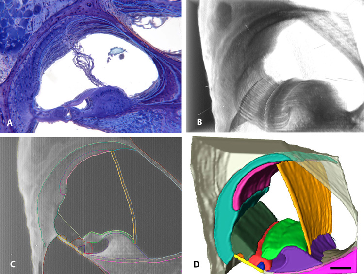 Fig. 5