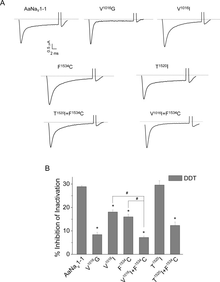 Fig 5