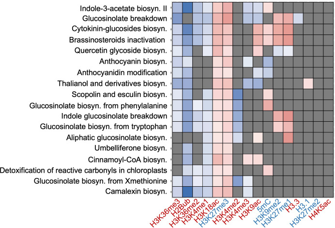 Figure 1—figure supplement 2.