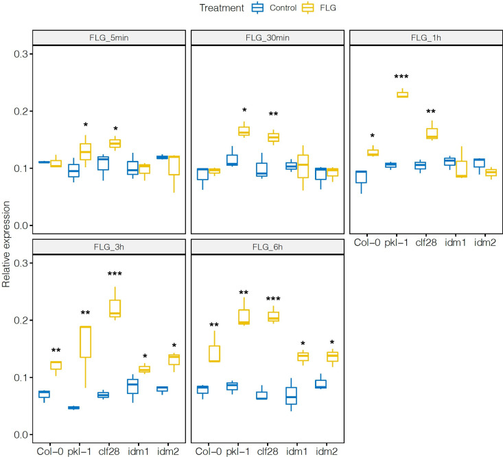 Figure 3—figure supplement 1.