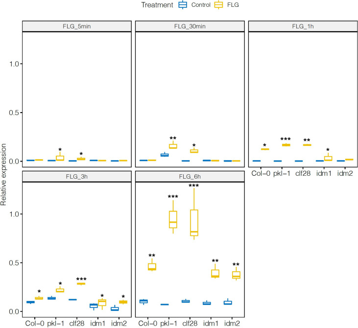 Figure 3—figure supplement 2.