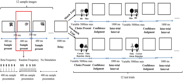 FIGURE 2