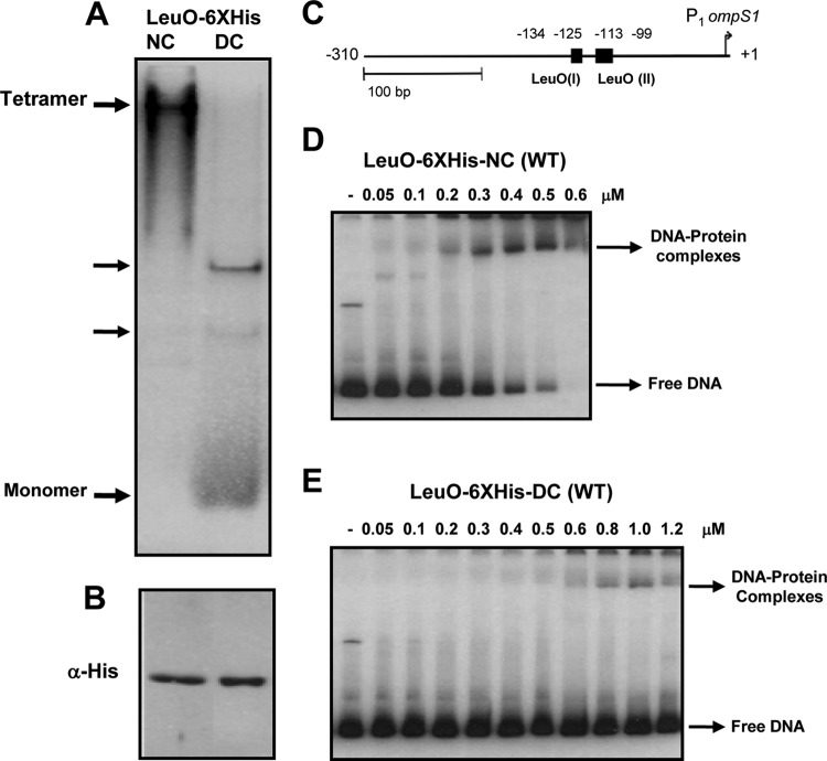 FIG 2