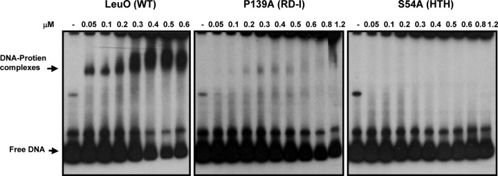 FIG 5