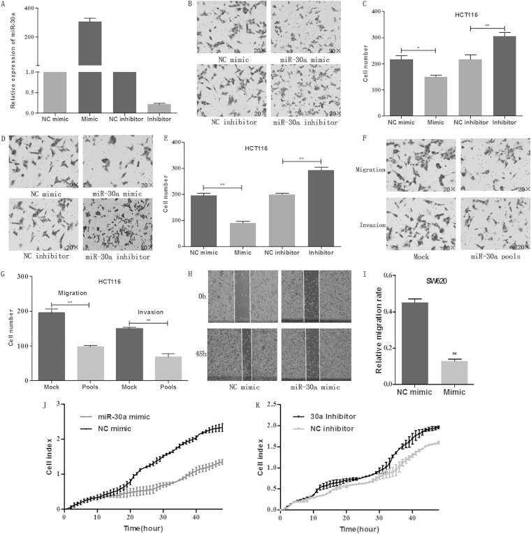 FIG 2