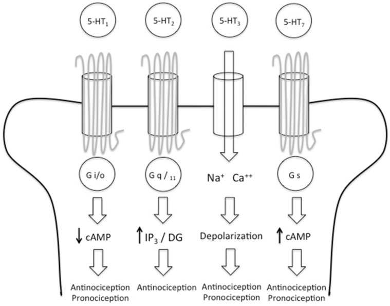 Fig. (1)