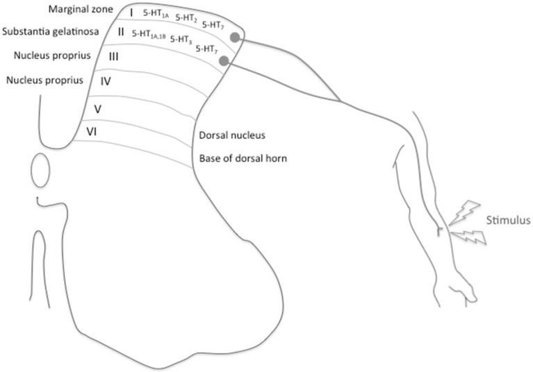 Fig. (2)