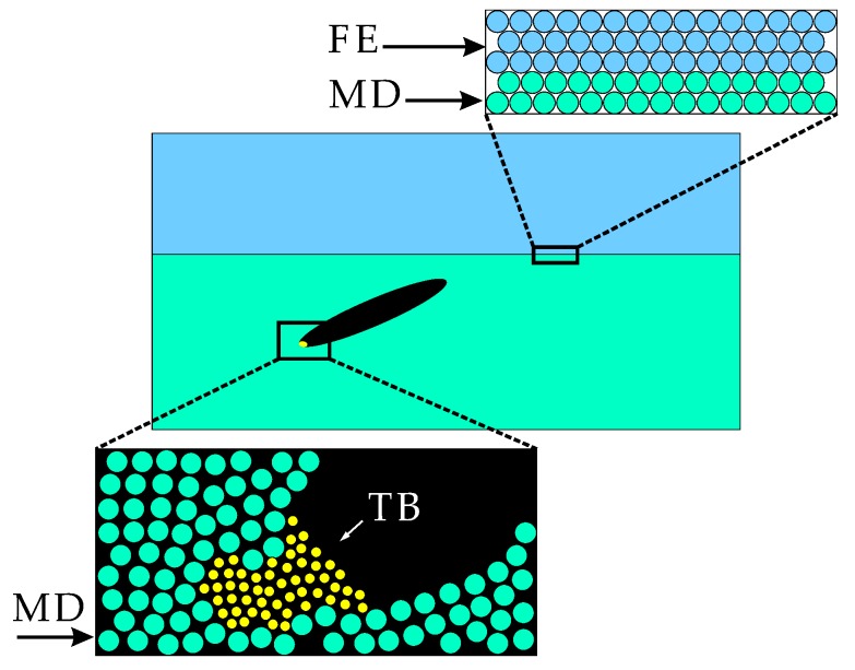 Figure 11