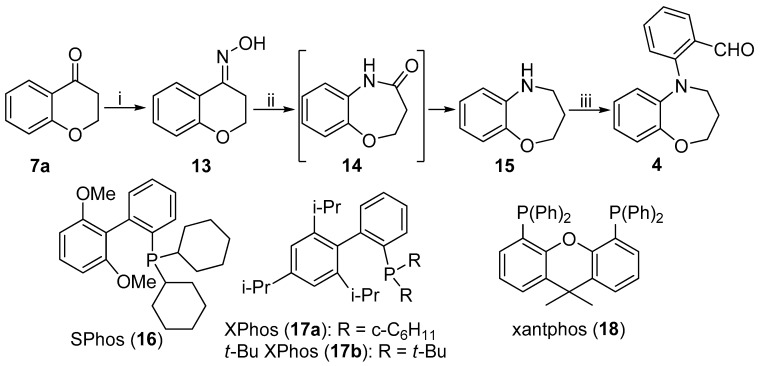 Scheme 5