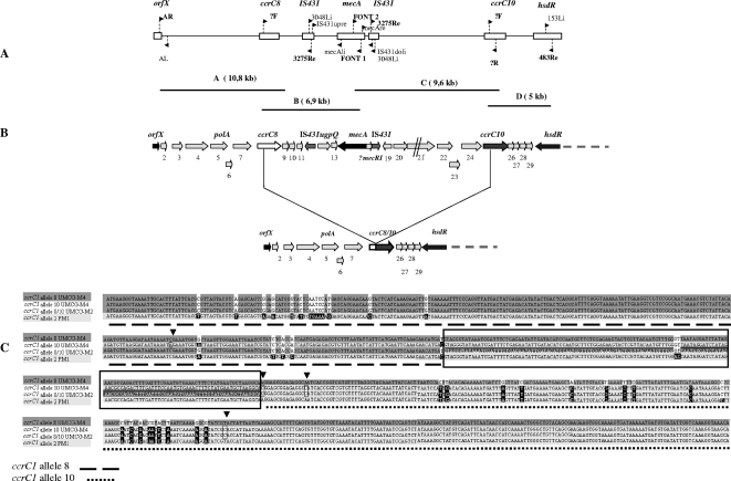 FIG. 2.