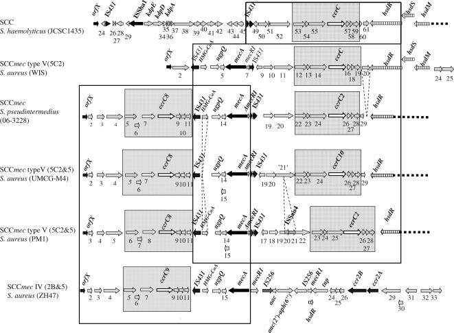 FIG. 3.