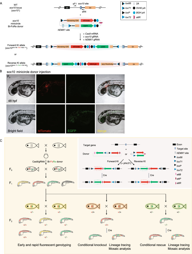 Figure 4