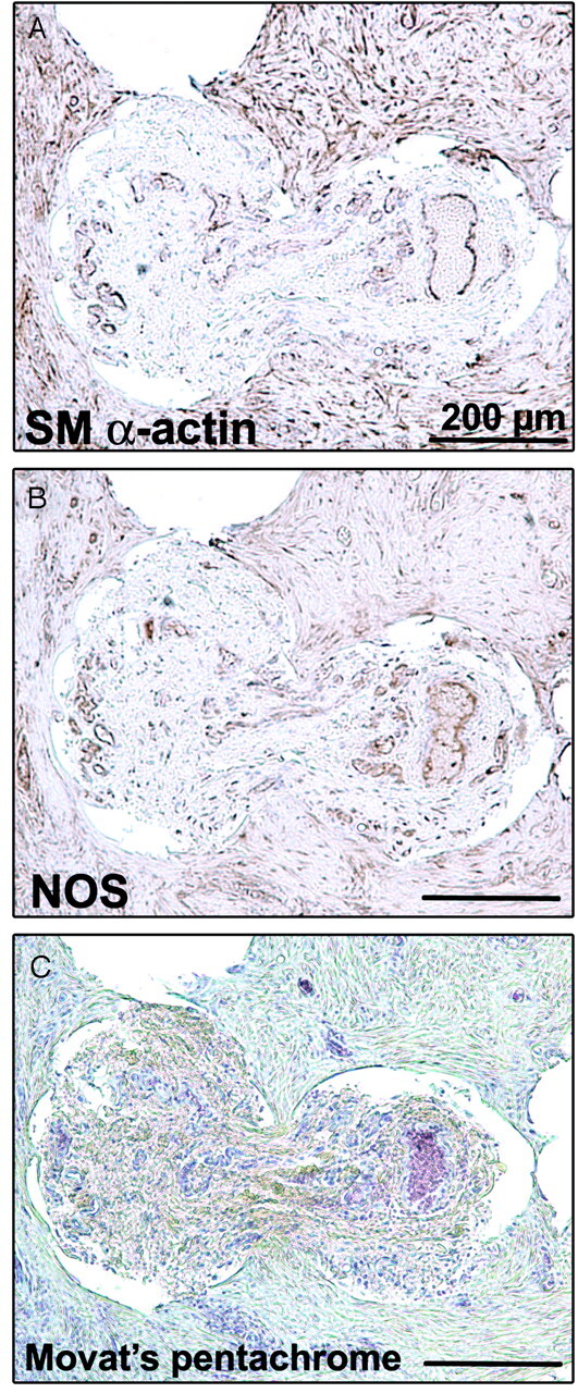 Fig 7.