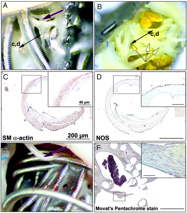 Fig 5.